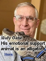 Wally's owner, Joie Henney, a reptile rescuer, has more than 30 years  experience with alligators and has cared for Wally for six years.